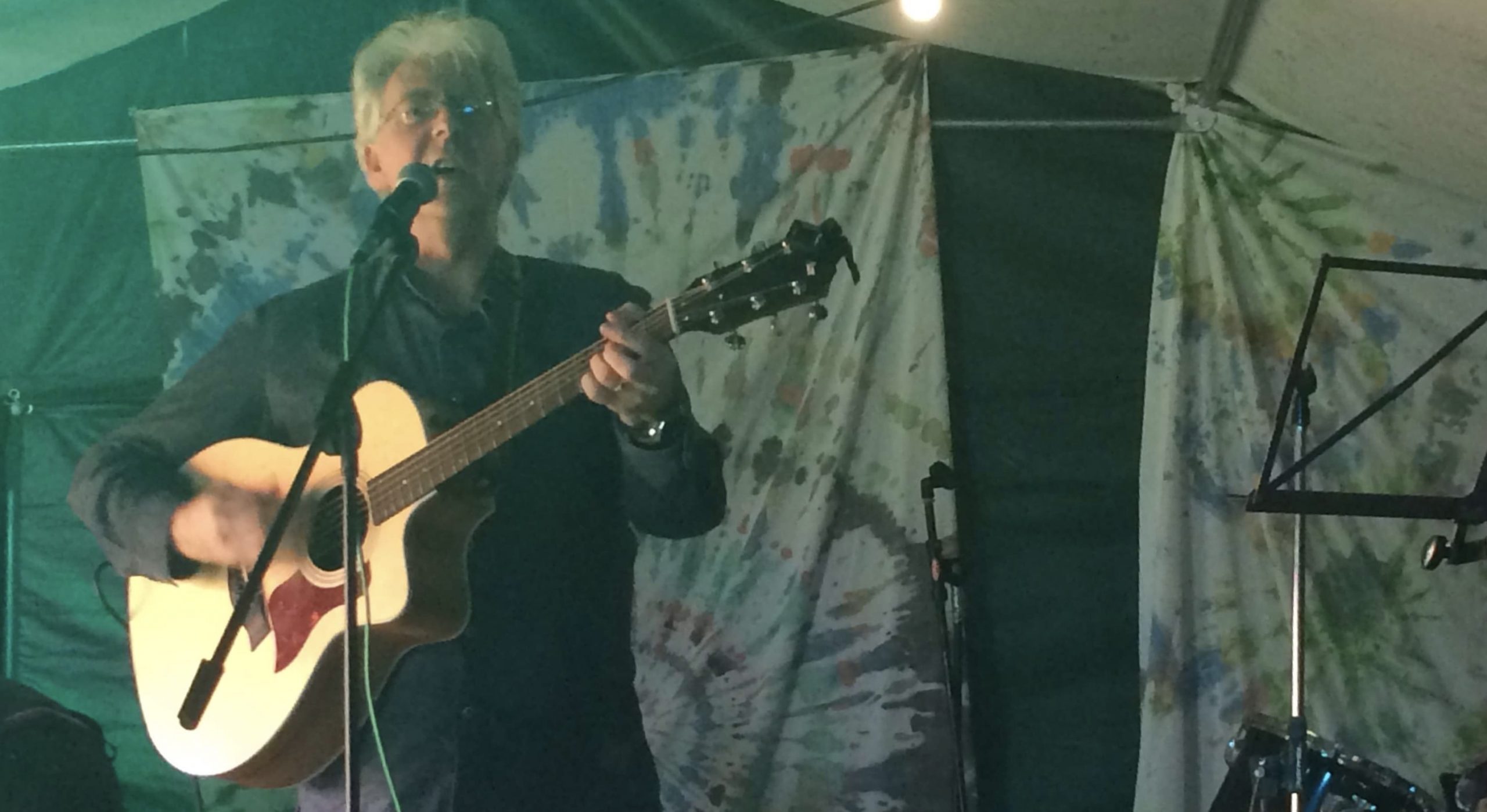 Live at Pickles Fest